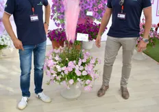 Jaco Bonagure and Claudio Vazzola from Padana with the Top Tunia Candy. It was introduced at this year's FlowerTrials.